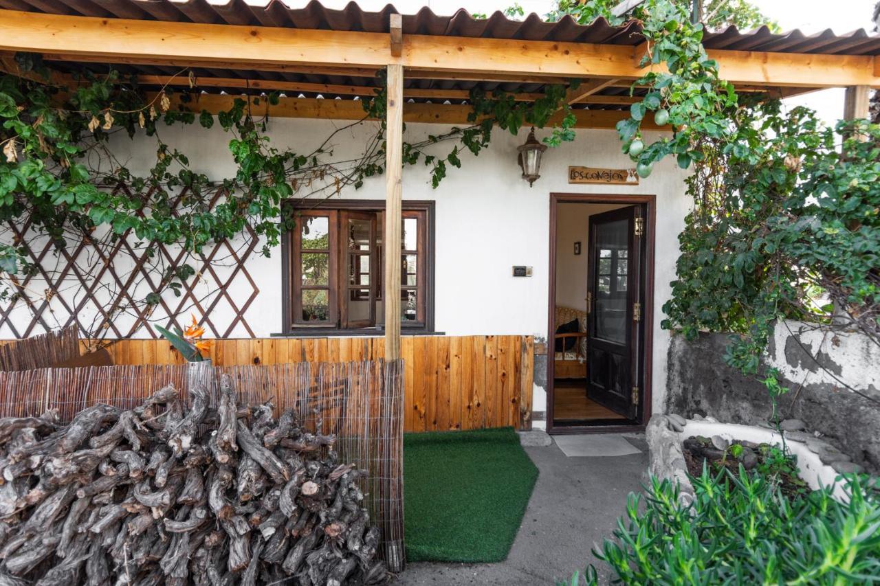 Los Conejos Santa Cruz de Tenerife Exteriér fotografie